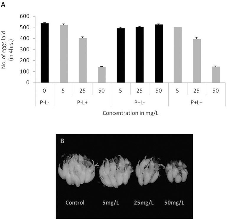 Fig 5