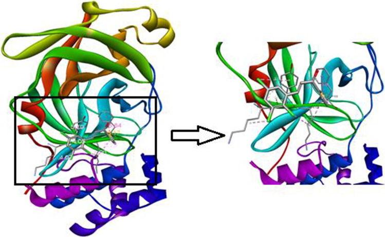 Fig. 8