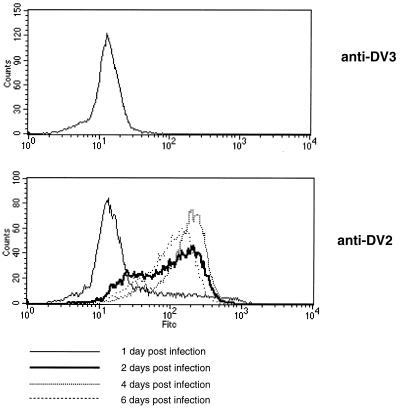 FIG. 1