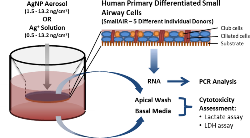 Figure 4: