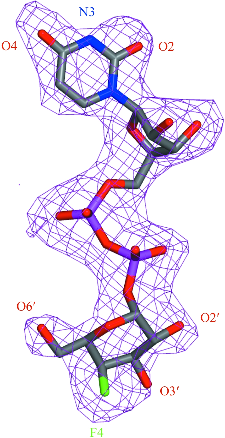 Figure 2