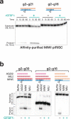 Extended Data Fig. 8