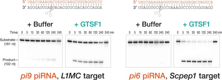 Extended Data Fig. 5