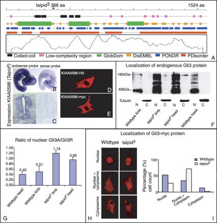 graphic file with name 1365fig6.jpg