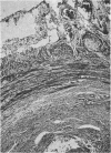 1348-1