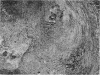 1348-1
