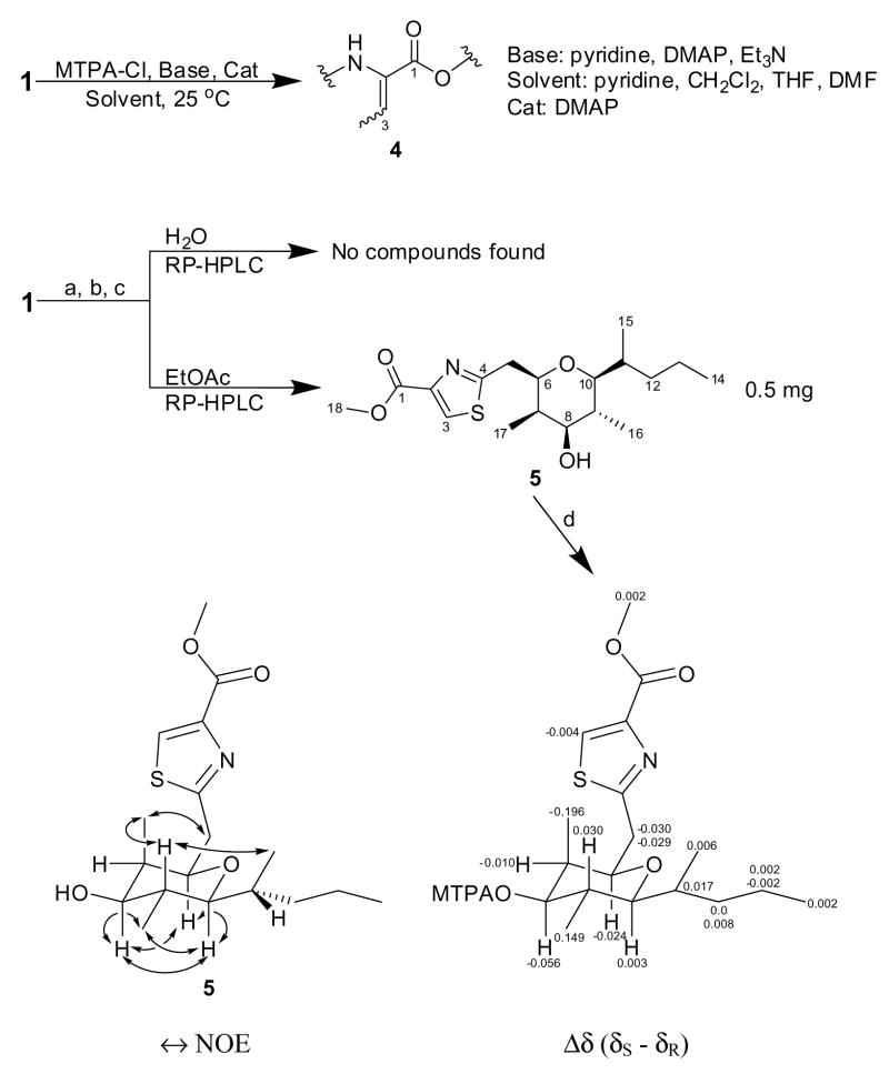 Scheme 1a