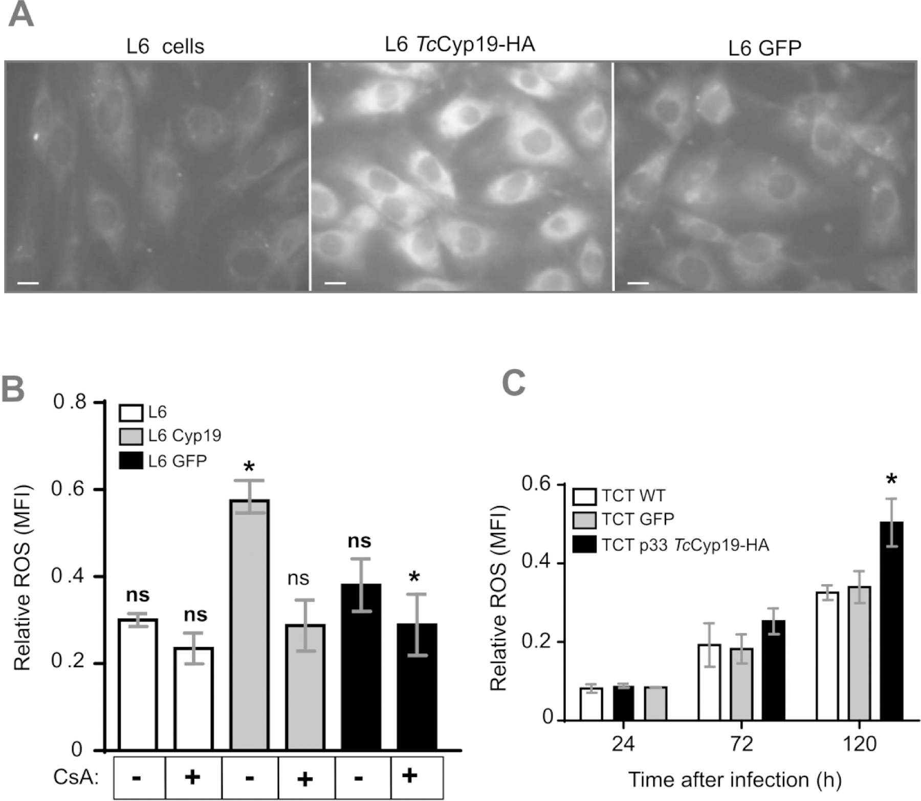 Figure 6.