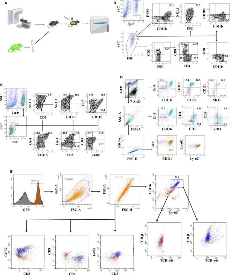 Figure 1