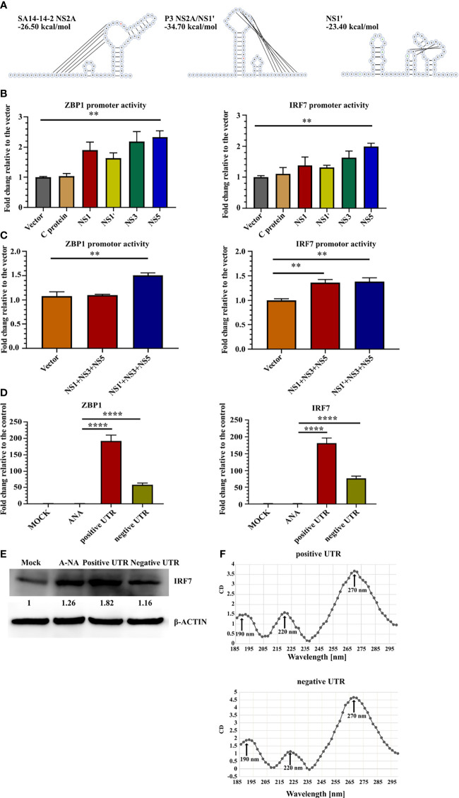 Figure 4