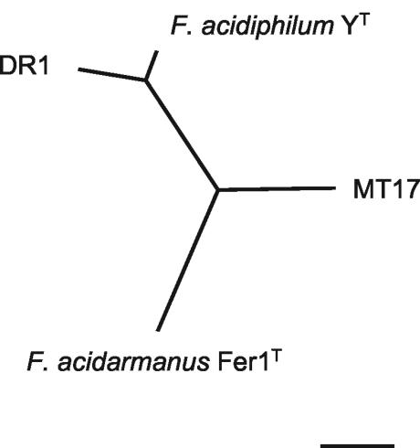 FIG. 8.