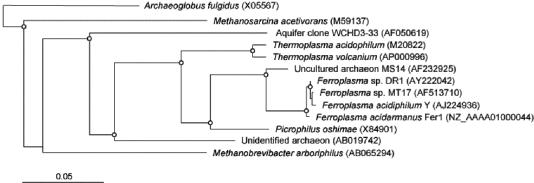 FIG. 7.