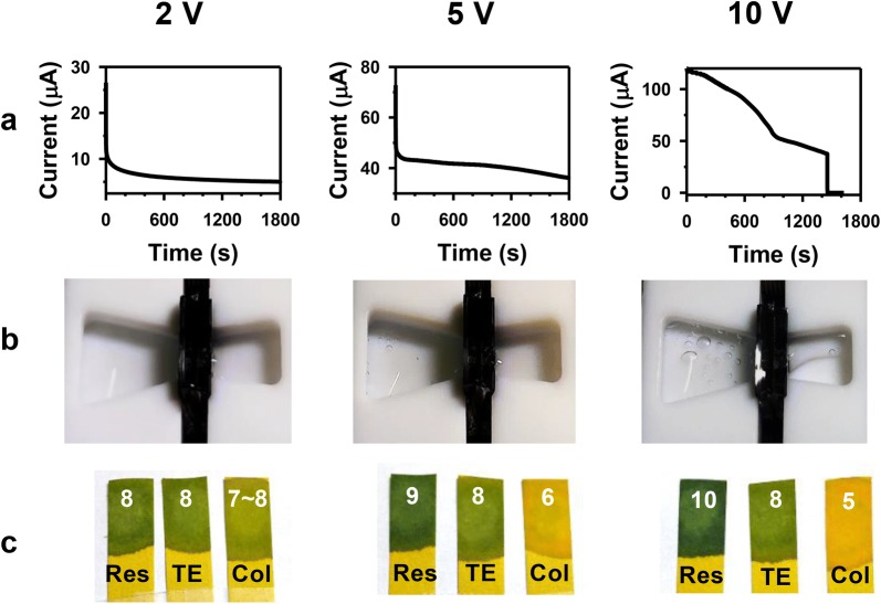 Fig. 4