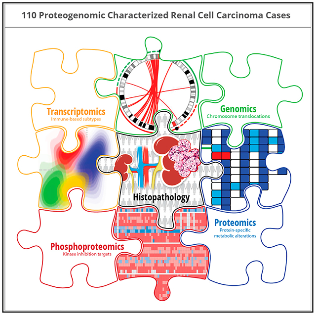 graphic file with name nihms-1597713-f0008.jpg