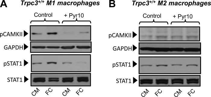 Fig. 9.