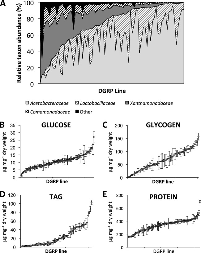 FIG 1