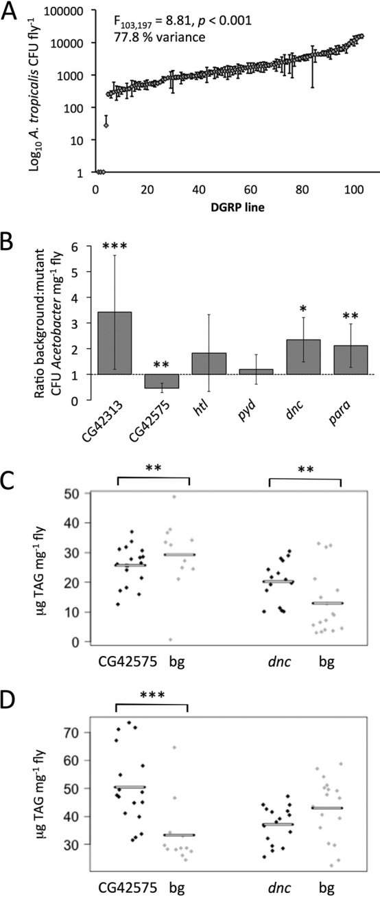 FIG 2