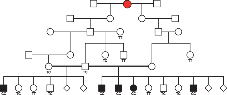 Fig. 2