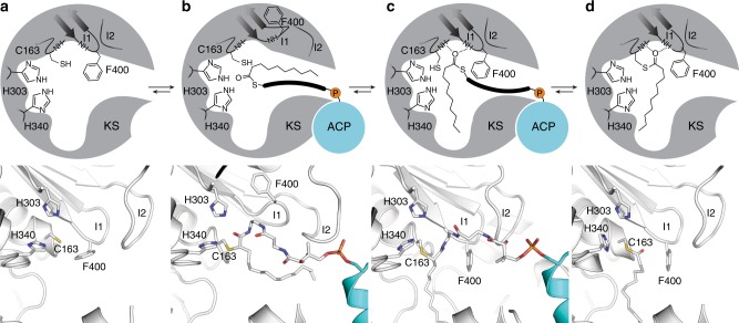 Fig. 10