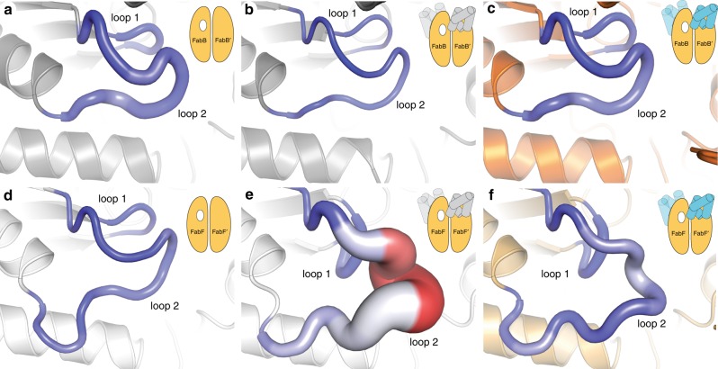 Fig. 7