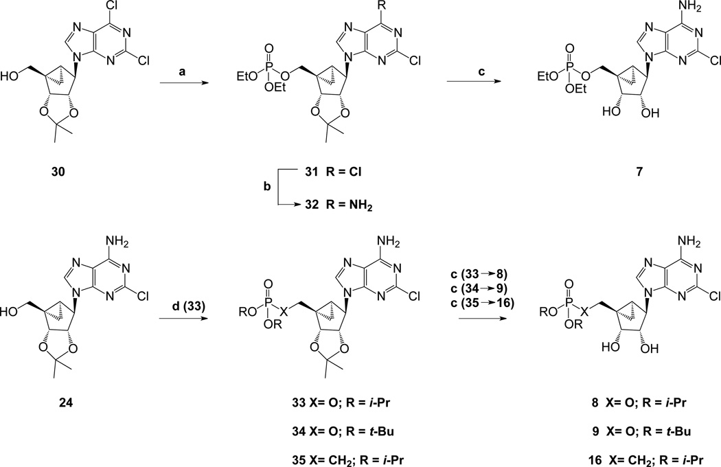 Scheme 3