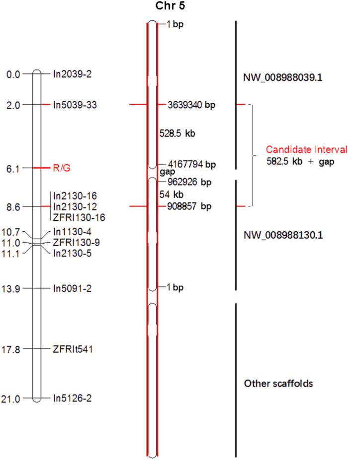 Figure 5