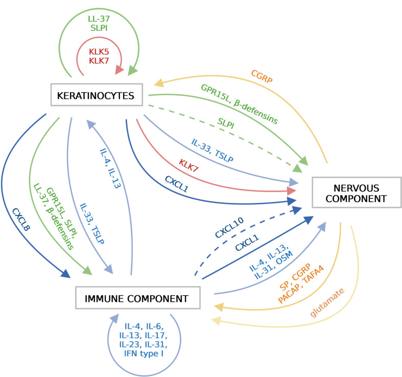 Figure 2