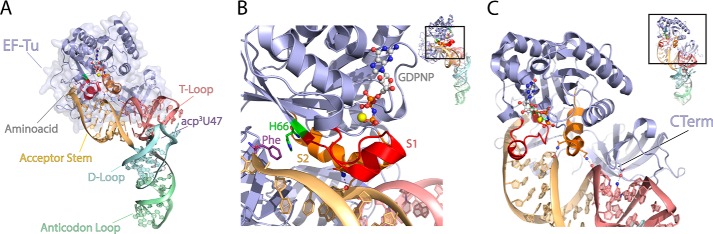 FIGURE 1.