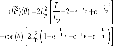 graphic file with name M40.gif