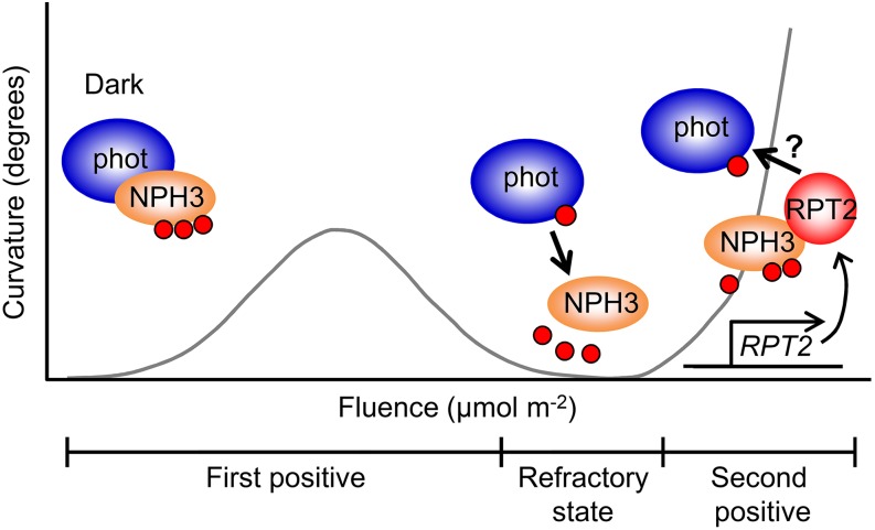 Figure 9.