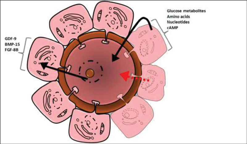 Fig. 7