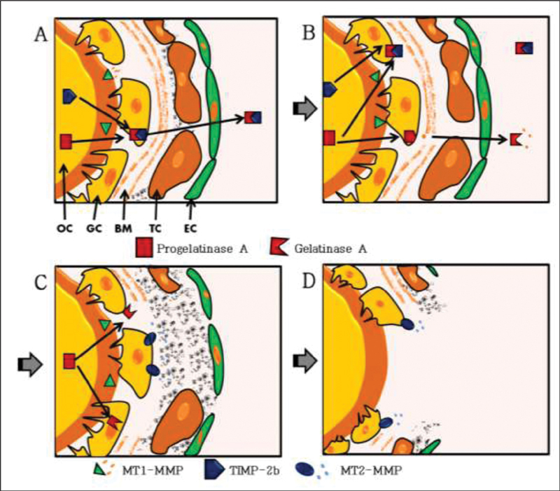 Fig. 9