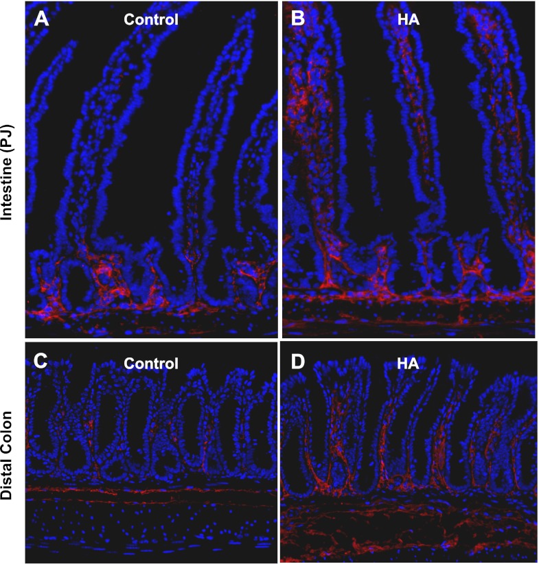 Fig. 8.