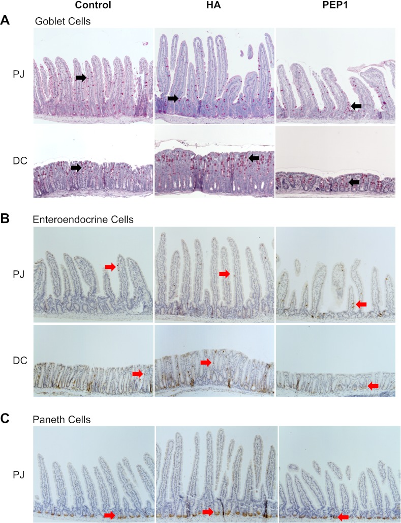 Fig. 6.