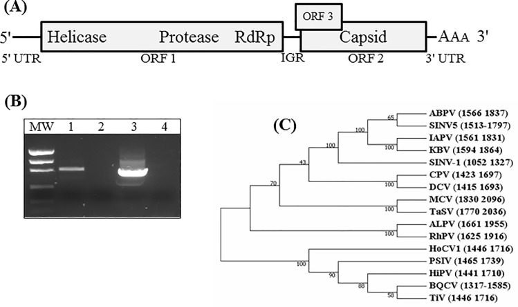 Fig 4