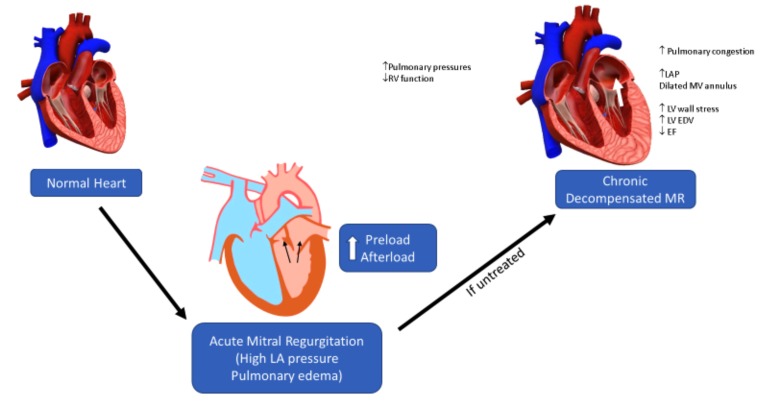 Fig. (1)