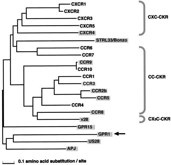 FIG. 6