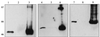 FIG. 7
