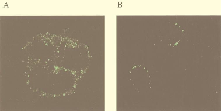 FIG. 6