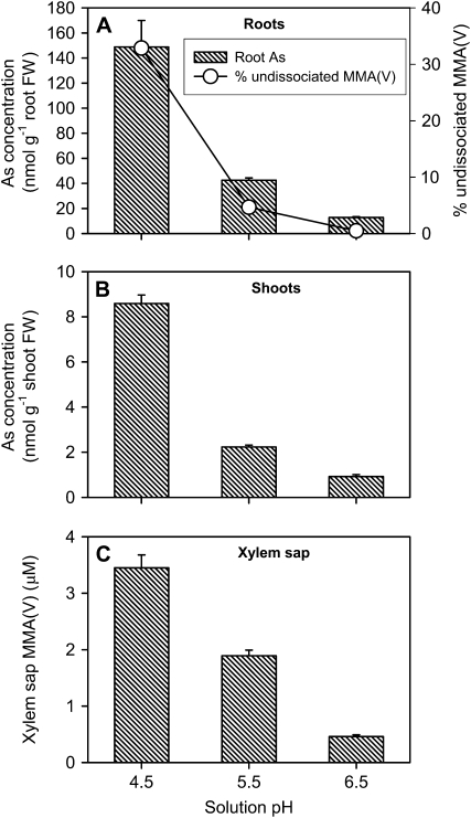 Figure 6.