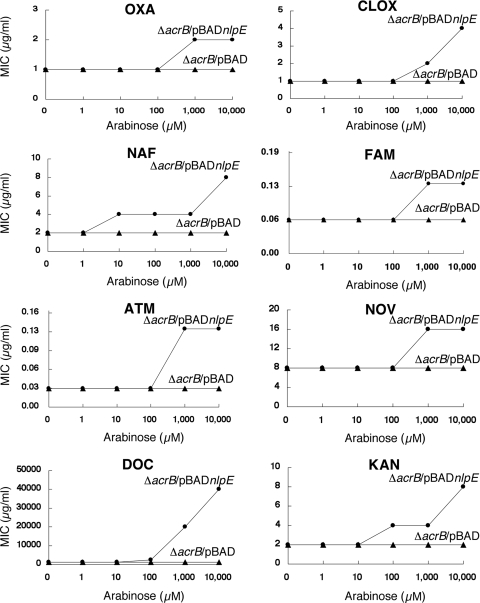 FIG. 2.