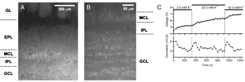 Fig. 6.