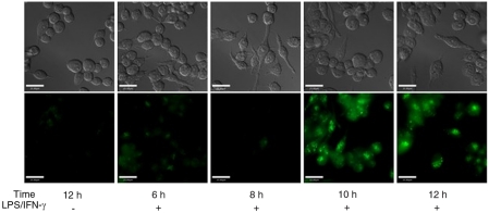 Fig. 3.