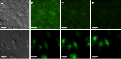 Fig. 5.