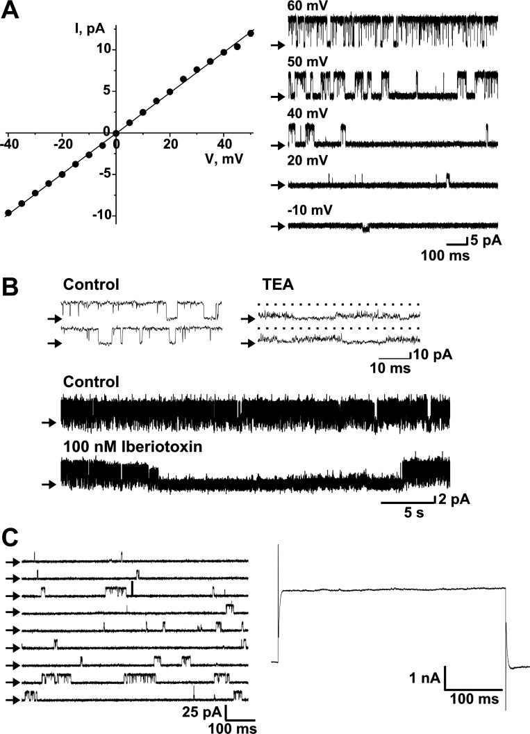 Fig. 3.