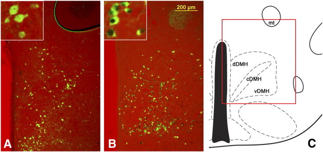 Figure 3.