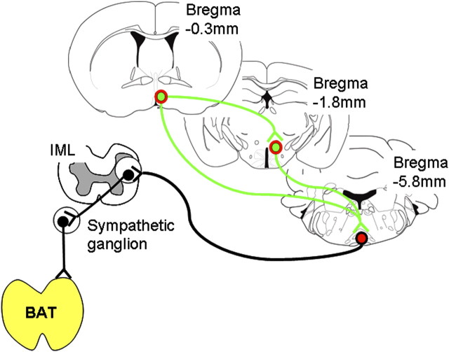 Figure 12.