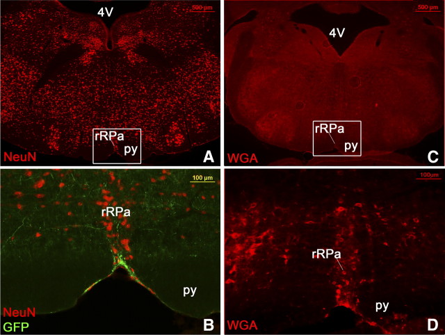 Figure 10.