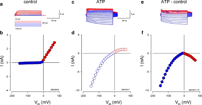 Fig. 2