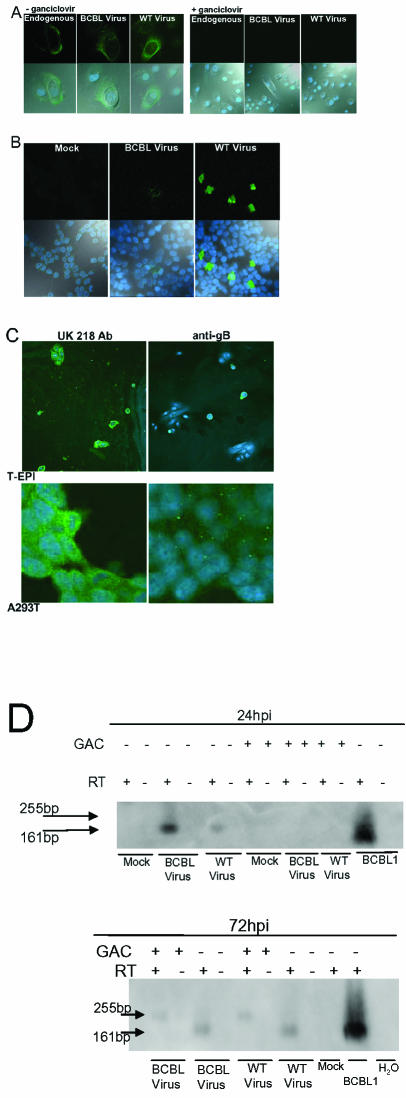 FIG. 6.